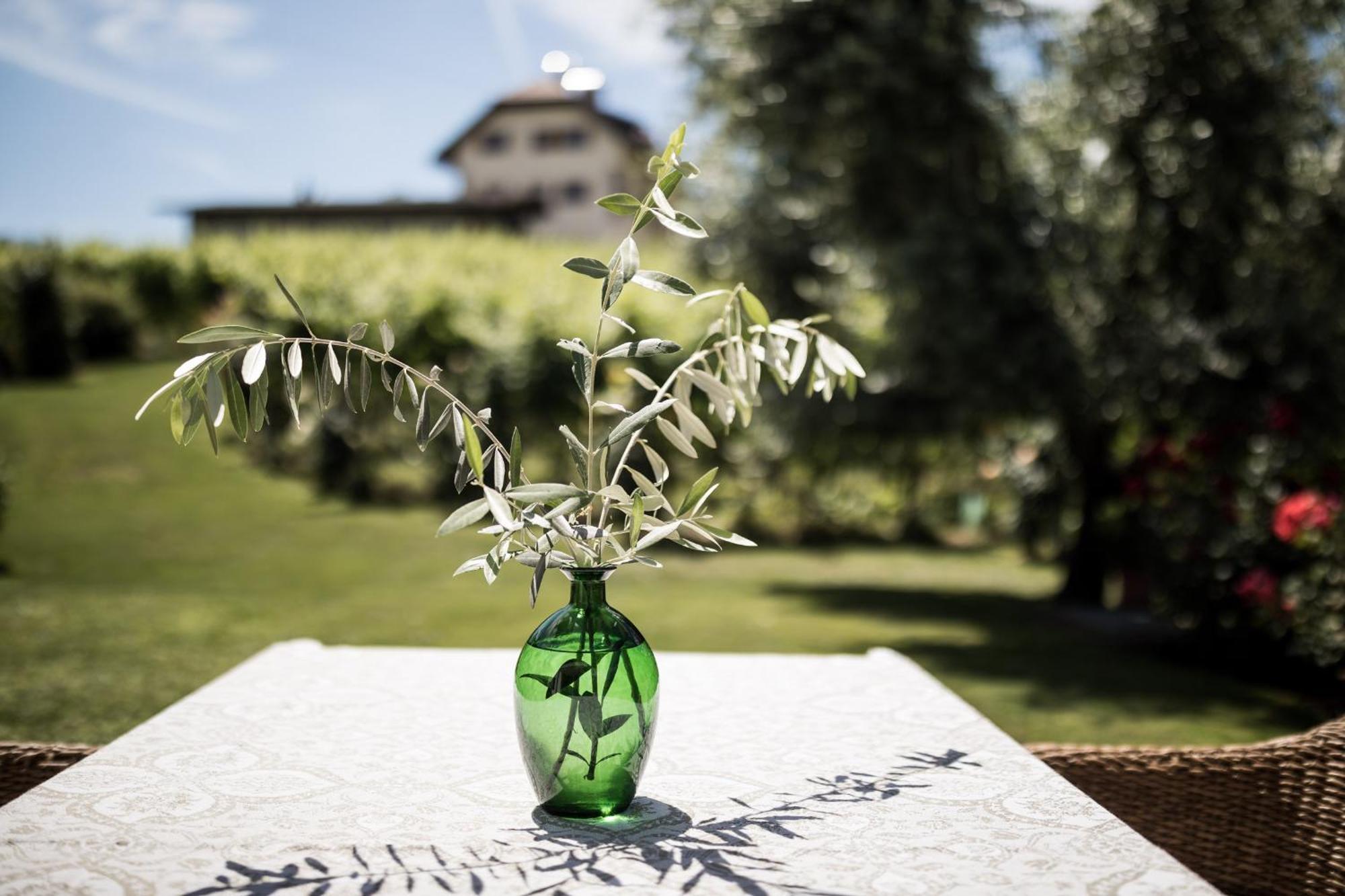 Weingut Weidlhof - & Breakfast - Vacation For Wine Lovers Caldaro